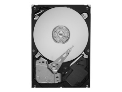 Seagate HARD DISK 2 TB SATA (ST2000DL004)
